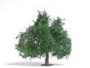 Busch 3662 Summer Oak Tree