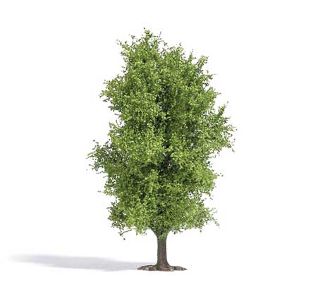 Busch 3721 Spring Deciduous Tree