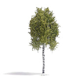Busch HO 3781 Birch Tree Spring