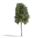 Busch HO 3782 Birch Tree Summer
