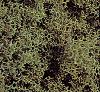 Busch 7318 Foam Scatter Material Coarse Medium Green