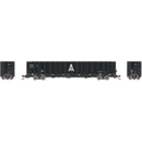 PREORDER Athearn Genesis ATHGN6718 N NSC 6000 Gondola w/Load, AIMX