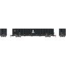 PREORDER Athearn Genesis ATHGN6719 N NSC 6000 Gondola w/Load, AIMX