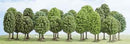 Busch HO 6487 Deciduous Trees, Assorted (25)