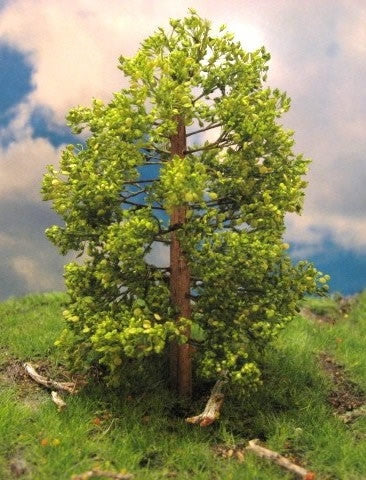 Grand Central Gems T47 Small Maple Trees, 3-4" (3)