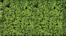 Heki 1551 Foliage Pad, Medium Green