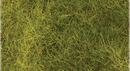 Heki 1575 Wild Grass Pad, Meadow Green