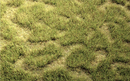 Heki 1841 Tuftgrass Pad, Spring