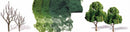 JTT Scenery Products N 92023 (TK-11) Pro-Tree Kit, Sycamore Trees 1.5" to 3" (16)