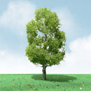 JTT Scenery Products O 92409 (TR-5209) Pro-Elite Birch Tree 8"