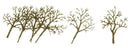 JTT Scenery Products HO 94126 (AR-3002) Deciduous Tree Armatures 3" to 4" (16)
