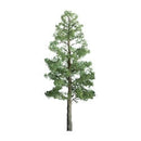 JTT Scenery Products N 94291 (TR-1091) Professional Series Pine Trees 2" (4)