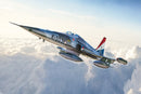 Italeri 1441 F-5A Freedom Fighter 1:72