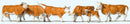 Preiser HO 10146 Brown and White Cows (6)