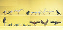 Preiser HO 10169 Pigeons, Seagulls, Crows and Birds of Prey (22)