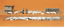 Preiser HO 13003 Shepherd with Flock and Accessories (80)