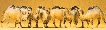 Preiser HO 20383 Camels, 2 Humps (6)