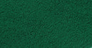 Scenic Express EX803C Flock and Turf Ground Cover, Spruce Green Fine 64 oz. (d)