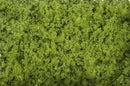 Scenic Express EX811C Flock and Turf Ground Cover, Spring Green Coarse 64 oz.
