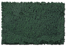 Scenic Express EX817E Flock and Turf Ground Cover, Hazy Green Fine 48 oz. ECO Pack