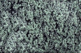 Scenic Express EX825C Flock and Turf Ground Cover, Sage Green Coarse 64 oz.