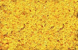 Scenic Express EX870C Flock and Turf Ground Cover, Early Autumn Blend 64 oz.