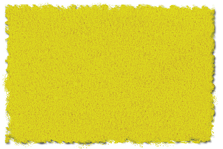 Scenic Express EX872C Flock and Turf Ground Cover, Aspen Yellow Fine 64 oz. (d)