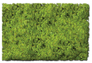 Scenic Express EX882E Flock and Turf Ground Cover, Scrub Grass Blend 48 oz. ECO Pack