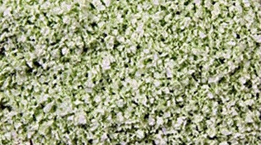 Scenic Express SE6214 Pale Green SuperLeaf, 1 Gallon SuperPack (d)