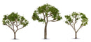 Woodland Scenics TR3525 Gum Trees, 2-1/2" to 3-1/2" (3)