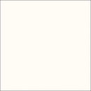 Tru-Color Paint 817 Flat Brushable Color Acrylic Paints, Off-White (1oz)