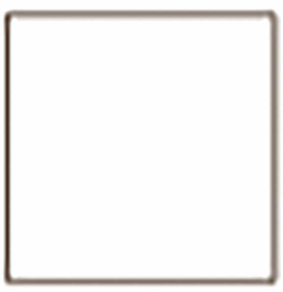 Tru-Color Paint 005 Railroad Color Acrylic Paints, White (1oz)