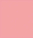 Tru-Color Paint TCP-455 SALMON PINK MATTE EXT WAL