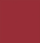 Tru-Color Paint TCP-457 MATTE RUST-CENERIC