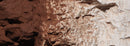 Woodland Scenics C1222 Burnt Umber Earth Color Liquid Pigment