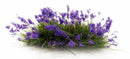 Woodland Scenics FS772 Violet Flowering Tufts