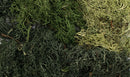 Woodland All Game Terrain Summer Mix Ez Brushes