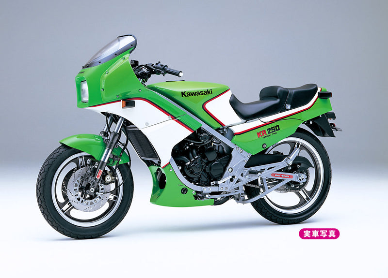 Hasegawa Models 21512 Kawasaki KR250 (KR250A)  1:12 SCALE MODEL KIT