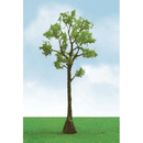 JTT Scenery Products N 05 92216 Cypress Trees, Pro Elite, 2-3/4 to 3-1/2: 5.7 to 8.9cm (3)