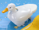 Tamiya 70257 WALKING & SWIMMING DUCK