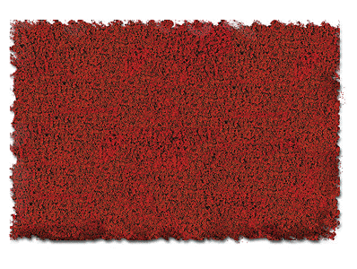 Scenic Express EX878B Flock & Turf, Scenic Foams & Ground Textures, Autumn Tones, 32 Ounces, Red Autumn, Fine