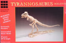 Glencoe Models 7906 Tyrannosaurus Skeleton 1:25