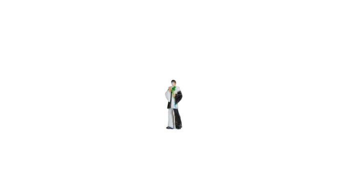 Noch HO 10414 Harlequin, Color 3D Print