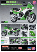 Hasegawa Models 21512 Kawasaki KR250 (KR250A) 1:12 Scale Model Kit