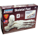 Lindberg 71314 Skeletal Foot 1:1