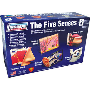 Lindberg 71315 Touch, Smell, Hear, Sight, Taste