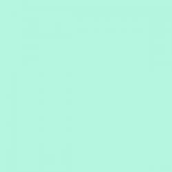 Mission Models Paint 134 SURF GREEN 1957