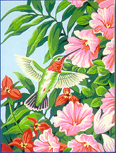 Paint Works Paint by Number 91310 Hummingbird & Fuchsias Beginnr
