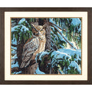Paint Works Paint by Number 91772 Great Horned Owl