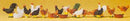 Preiser HO 14168 Chickens (18)